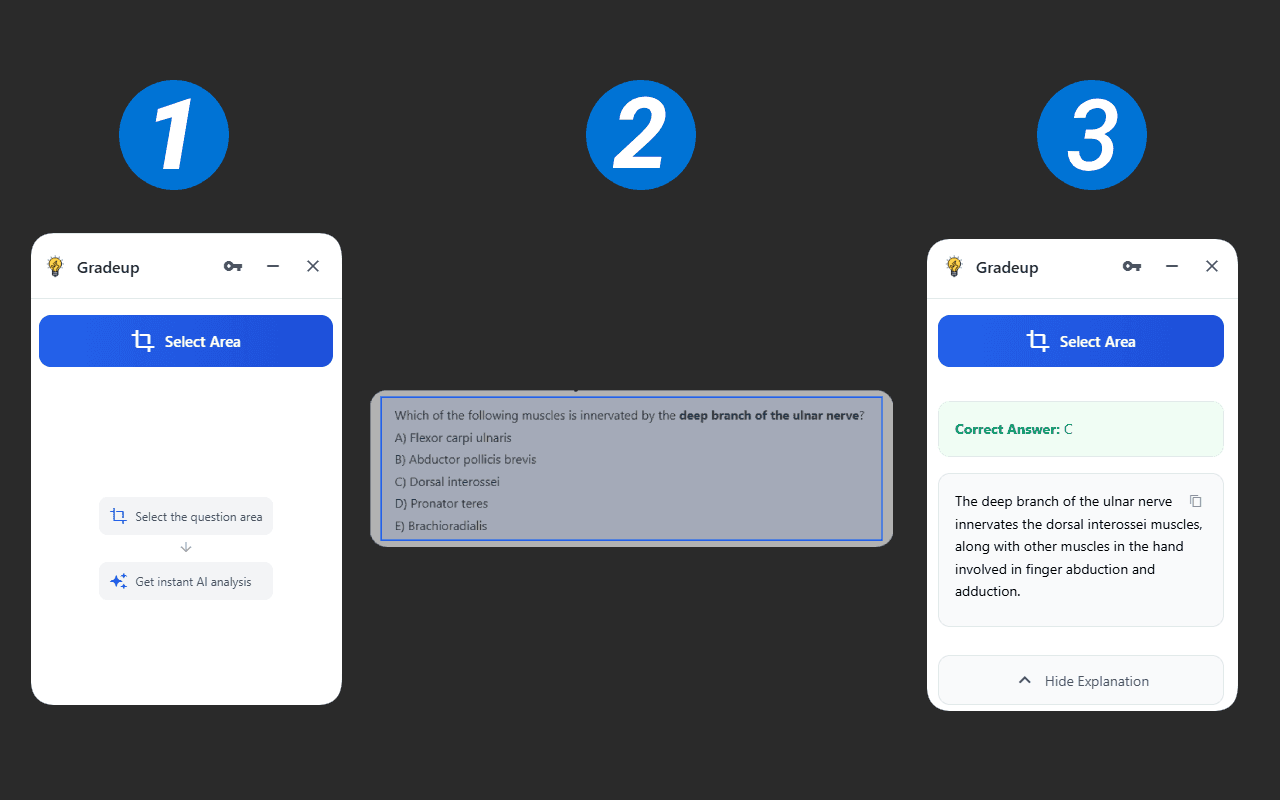 Introducing: The Homework Solver Tool Extension